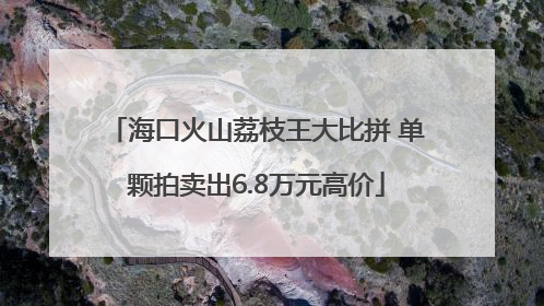 海口火山荔枝王大比拼 单颗拍卖出6.8万元高价