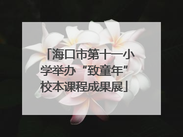 海口市第十一小学举办“致童年”校本课程成果展