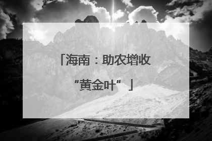 海南：助农增收 “黄金叶”