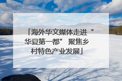 海外华文媒体走进“华夏第一都” 聚焦乡村特色产业发展