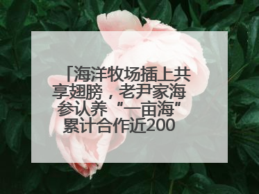 海洋牧场插上共享翅膀，老尹家海参认养“一亩海”累计合作近200企业客户