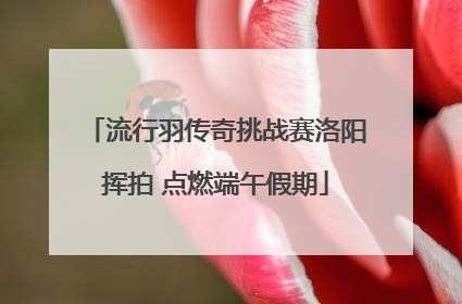 流行羽传奇挑战赛洛阳挥拍 点燃端午假期