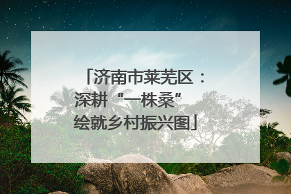 济南市莱芜区：深耕“一株桑” 绘就乡村振兴图