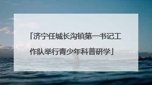 济宁任城长沟镇第一书记工作队举行青少年科普研学