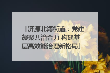 济源北海街道：党建凝聚共治合力 构建基层高效能治理新格局