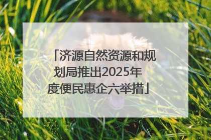 济源自然资源和规划局推出2025年度便民惠企六举措