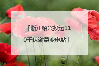 浙江绍兴投运110千伏谢慕变电站