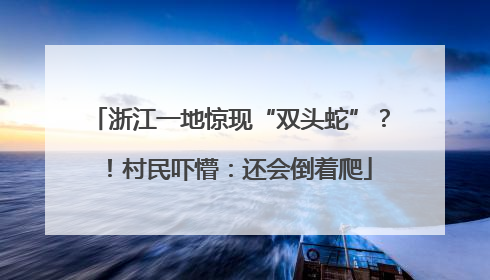 浙江一地惊现“双头蛇”？！村民吓懵：还会倒着爬