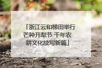 浙江云和梯田举行芒种开犁节 千年农耕文化续写新篇