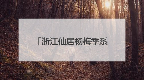 浙江仙居杨梅季系列活动启动 科技创新推动生产提质