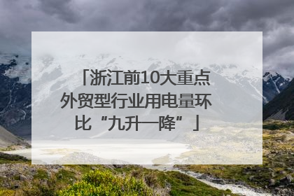 浙江前10大重点外贸型行业用电量环比“九升一降”