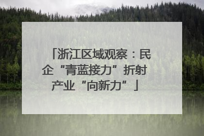 浙江区域观察：民企“青蓝接力”折射产业“向新力”