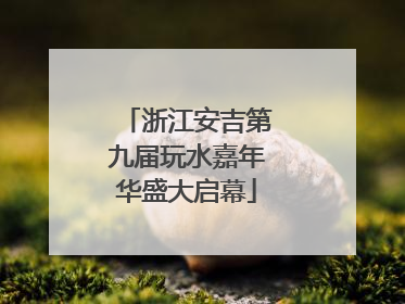 浙江安吉第九届玩水嘉年华盛大启幕
