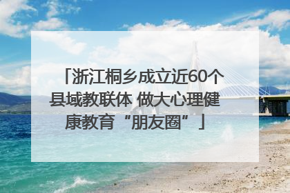 浙江桐乡成立近60个县域教联体 做大心理健康教育“朋友圈”