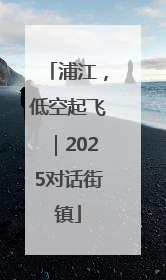 浦江，低空起飞｜2025对话街镇