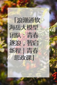 浪潮通软海岳大模型团队：青春逐浪，智启新程｜青春思政课