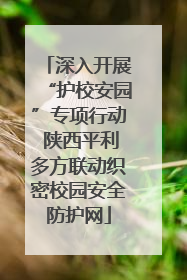 深入开展“护校安园”专项行动 陕西平利多方联动织密校园安全防护网