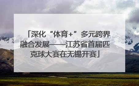 深化“体育+”多元跨界融合发展——江苏省首届匹克球大赛在无锡开赛