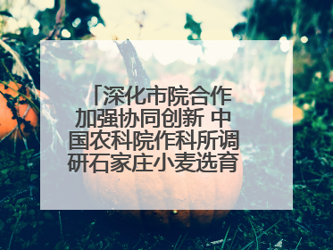 深化市院合作 加强协同创新 中国农科院作科所调研石家庄小麦选育种等工作