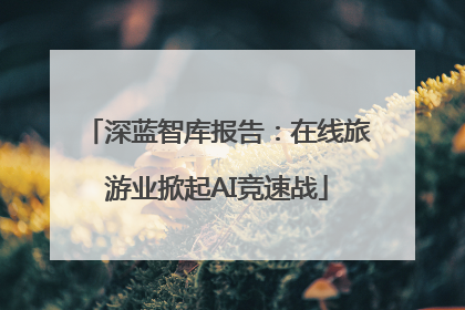 深蓝智库报告：在线旅游业掀起AI竞速战