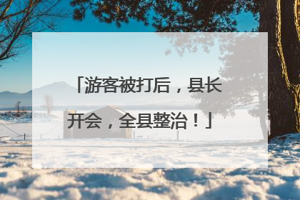 游客被打后，县长开会，全县整治！