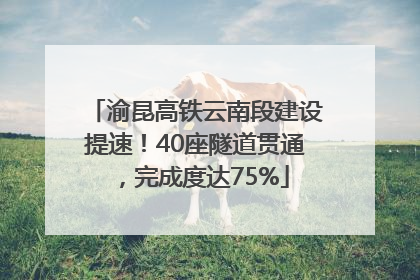 渝昆高铁云南段建设提速！40座隧道贯通，完成度达75%