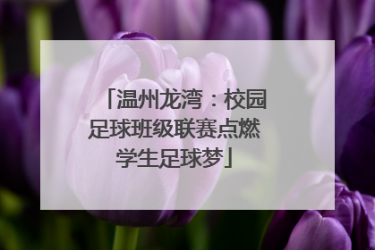 温州龙湾：校园足球班级联赛点燃学生足球梦