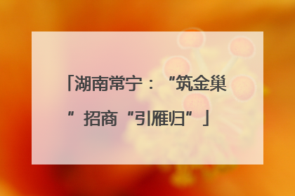 湖南常宁：“筑金巢”招商“引雁归”