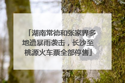 湖南常德和张家界多地遭暴雨袭击，长沙至桃源火车票全部停售