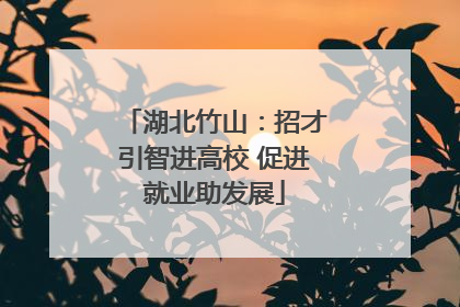 湖北竹山：招才引智进高校 促进就业助发展