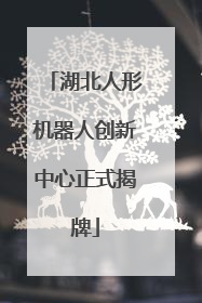 湖北人形机器人创新中心正式揭牌