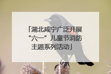 湖北咸宁广泛开展“六一”儿童节消防主题系列活动