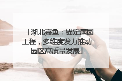 湖北嘉鱼：锚定满园工程，多维度发力推动园区高质量发展