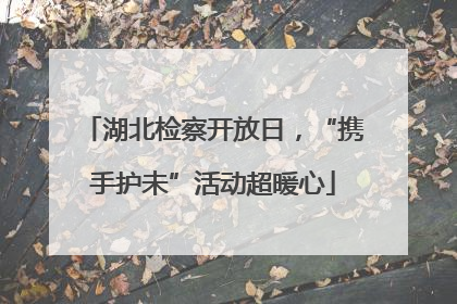 湖北检察开放日，“携手护未”活动超暖心