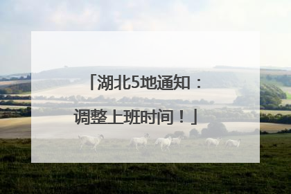 湖北5地通知：调整上班时间！