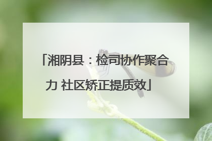 湘阴县：检司协作聚合力 社区矫正提质效