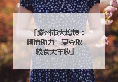 滕州市大坞镇：倾情助力三夏夺取粮食大丰收