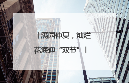 满园仲夏，灿烂花海迎“双节”