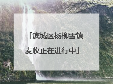 滨城区杨柳雪镇麦收正在进行中