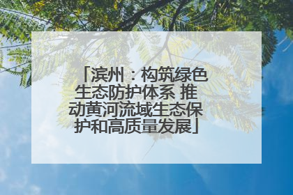 滨州：构筑绿色生态防护体系 推动黄河流域生态保护和高质量发展