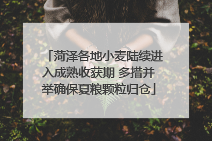 菏泽各地小麦陆续进入成熟收获期 多措并举确保夏粮颗粒归仓