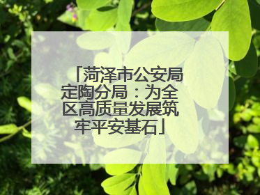 菏泽市公安局定陶分局：为全区高质量发展筑牢平安基石
