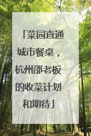 菜园直通城市餐桌，杭州邵老板的收菜计划和期待