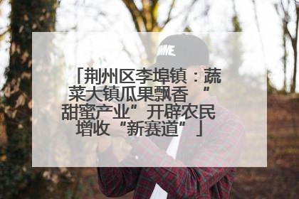 荆州区李埠镇：蔬菜大镇瓜果飘香 “甜蜜产业”开辟农民增收“新赛道”