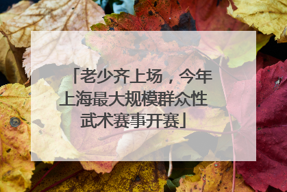 老少齐上场，今年上海最大规模群众性武术赛事开赛