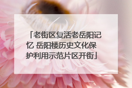 老街区复活老岳阳记忆 岳阳楼历史文化保护利用示范片区开街