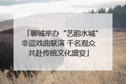 聊城举办“艺韵水城”非遗戏曲联演 千名观众共赴传统文化盛宴