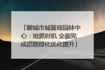 聊城市城管局园林中心：抢抓时机 全面完成道路绿化优化提升