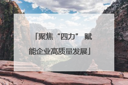 聚焦“四力” 赋能企业高质量发展