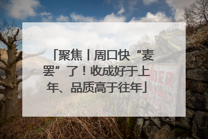 聚焦丨周口快“麦罢”了！收成好于上年、品质高于往年